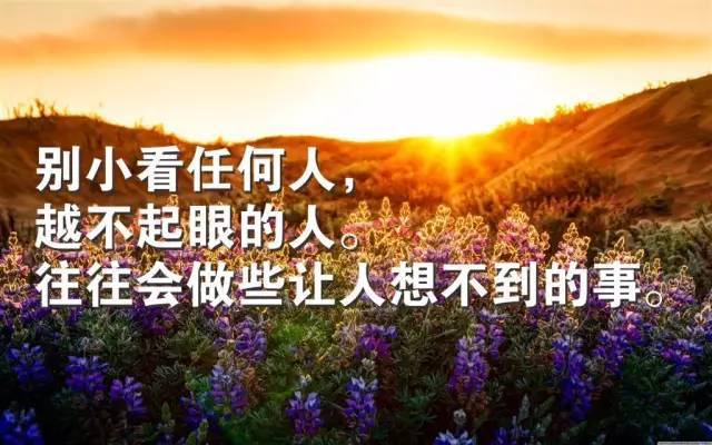 解锁流量密码！这家新锐广告公司让品牌曝光率飙升200%